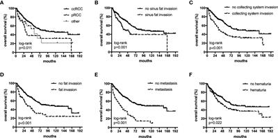 Histological features suggestive of survival in patients with renal cell carcinoma and tumor thrombus: A single-center experience